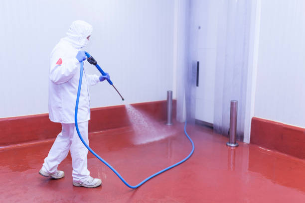 Best Patio and Deck Pressure Washing  in Scotts Valley, CA