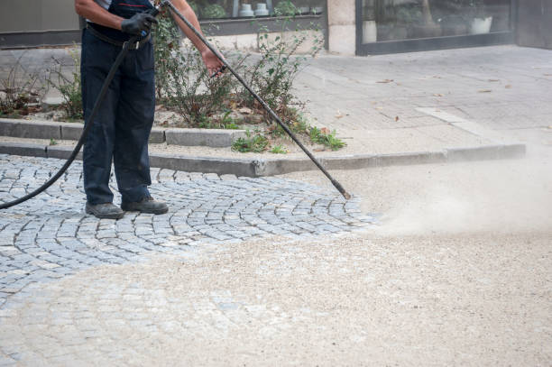 Animal Enclosure Cleaning in Scotts Valley, CA